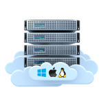 VPS12