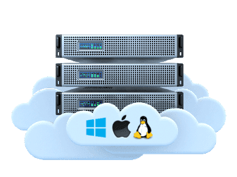 VPS5