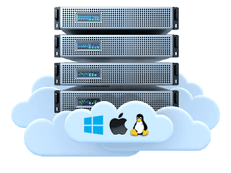 VPS8